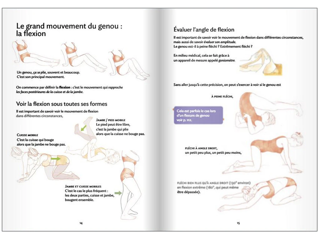 Anatomie Pour Le Yoga - Genou Et Yoga Blandine Calais-Germain 4 Anatomie Pour Le Yoga - Genou Et Yoga Blandine Calais-Germain – Image 2