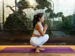 Bloc De Yoga Incliné Slanting Plank Liège 60cm X 9cm X 3cm 1 Bloc -Magasin De Vetements bloc de yoga incline slanting plank liege 16686046436374e2e353418