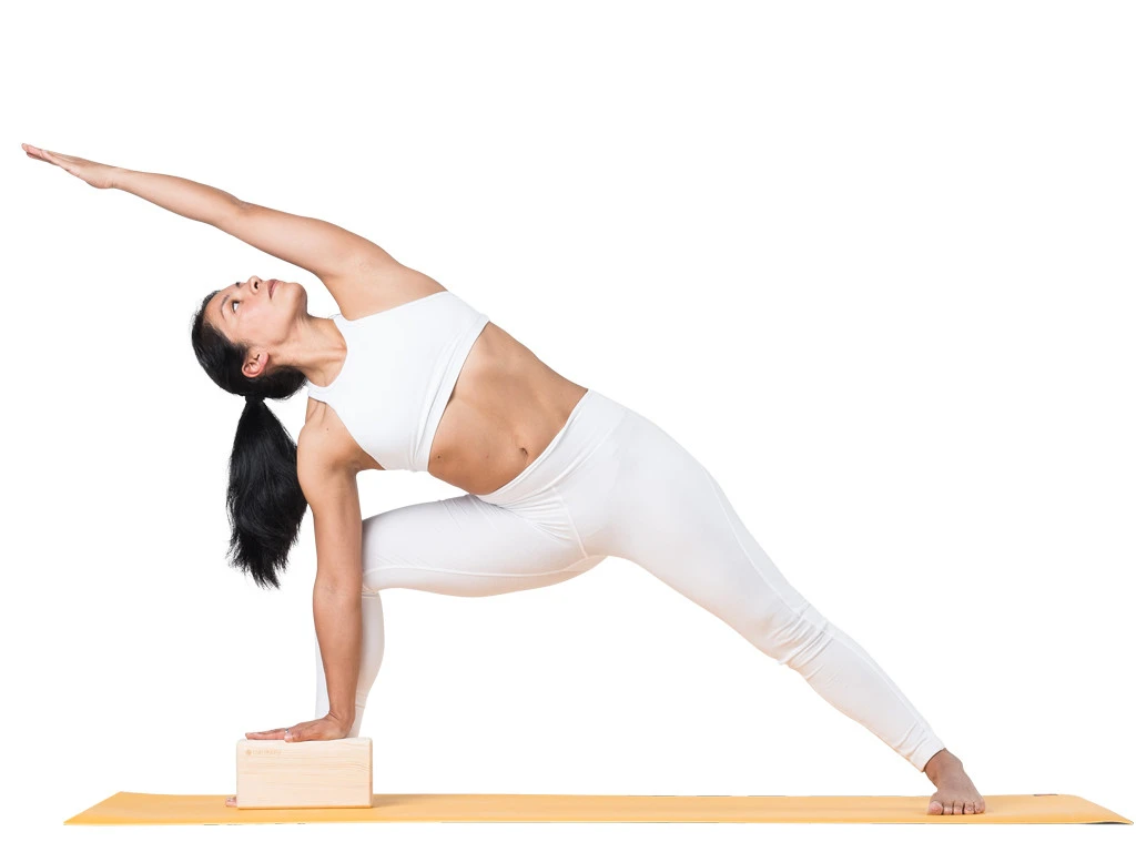 Brique En Bois Massif 23 Cm X 12 Cm X 6.5 Cm 1 Brique 4 Brique En Bois Massif 23 Cm X 12 Cm X 6.5 Cm 1 Brique – Image 2