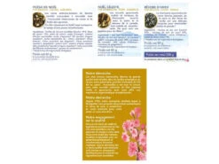 Coffret Thés Japonais De Noël 60g + 80g + 80g -Magasin De Vetements coffret thes japonais de noel 1669282478637f3aaef3eb7