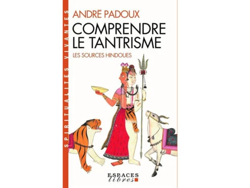 Comprendre Le Tantrisme Andre Padoux -Magasin De Vetements comprendre le tantrisme 166877862963778a8577f12