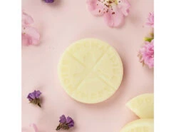 Palets Fondants Câline 6 Palets -Magasin De Vetements palets fondants caline 16710209336399c1850e8a4