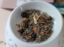 Plantes à Rituels - Intuition 20g -Magasin De Vetements plantes a rituels intuition 1700571197655ca83d6e457