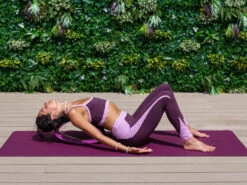 Roue Yoga Tri-Wheel - Prune/Noir L38cm X L13cm X H20cm -Magasin De Vetements roue yoga tri wheel prune noir 169097912764ca4b377b328