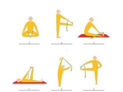 Sangle De Yoga Iyengar 100% Coton Bio 3cm X 200cm -Magasin De Vetements sangle de yoga iyengar 100 coton bio 3cm x 200cm 5b8dc8e4f38d6