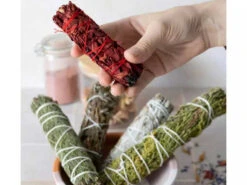 Tresse De Sauge Sang - Dragon 10cm -Magasin De Vetements tresse de sauge sang dragon 1700573583655cb18fc9442