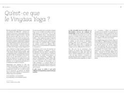 Yoga Vinyasa - L'éloge Du Souffle Amélie Annoni - Alex Blake -Magasin De Vetements yoga vinyasa leloge du souffle 1664892649633c3ee908908